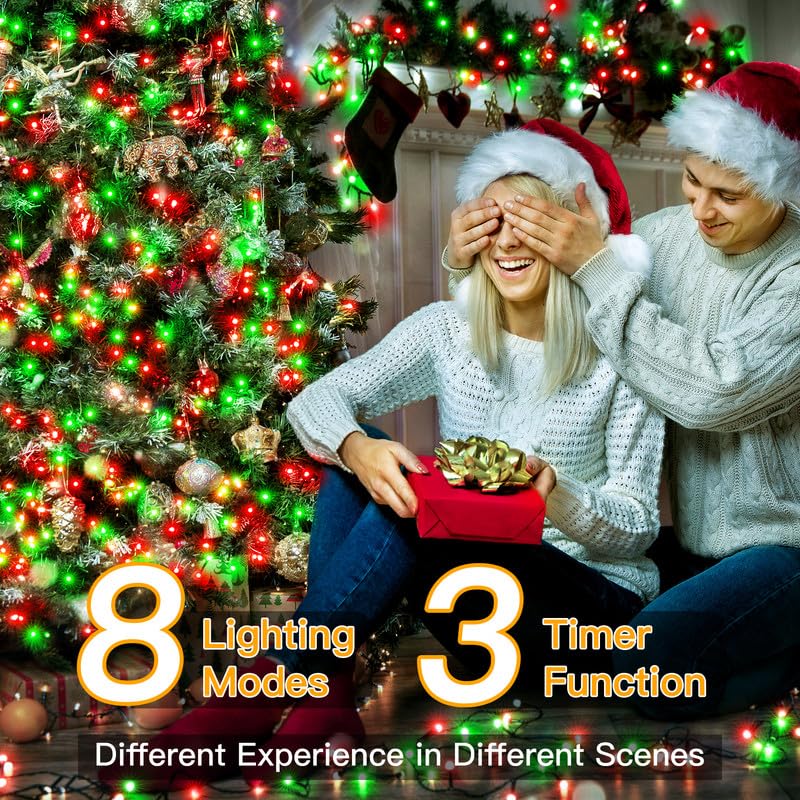 Christmas Lights (164 Foot)