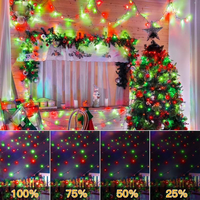 Christmas Lights (164 Foot)