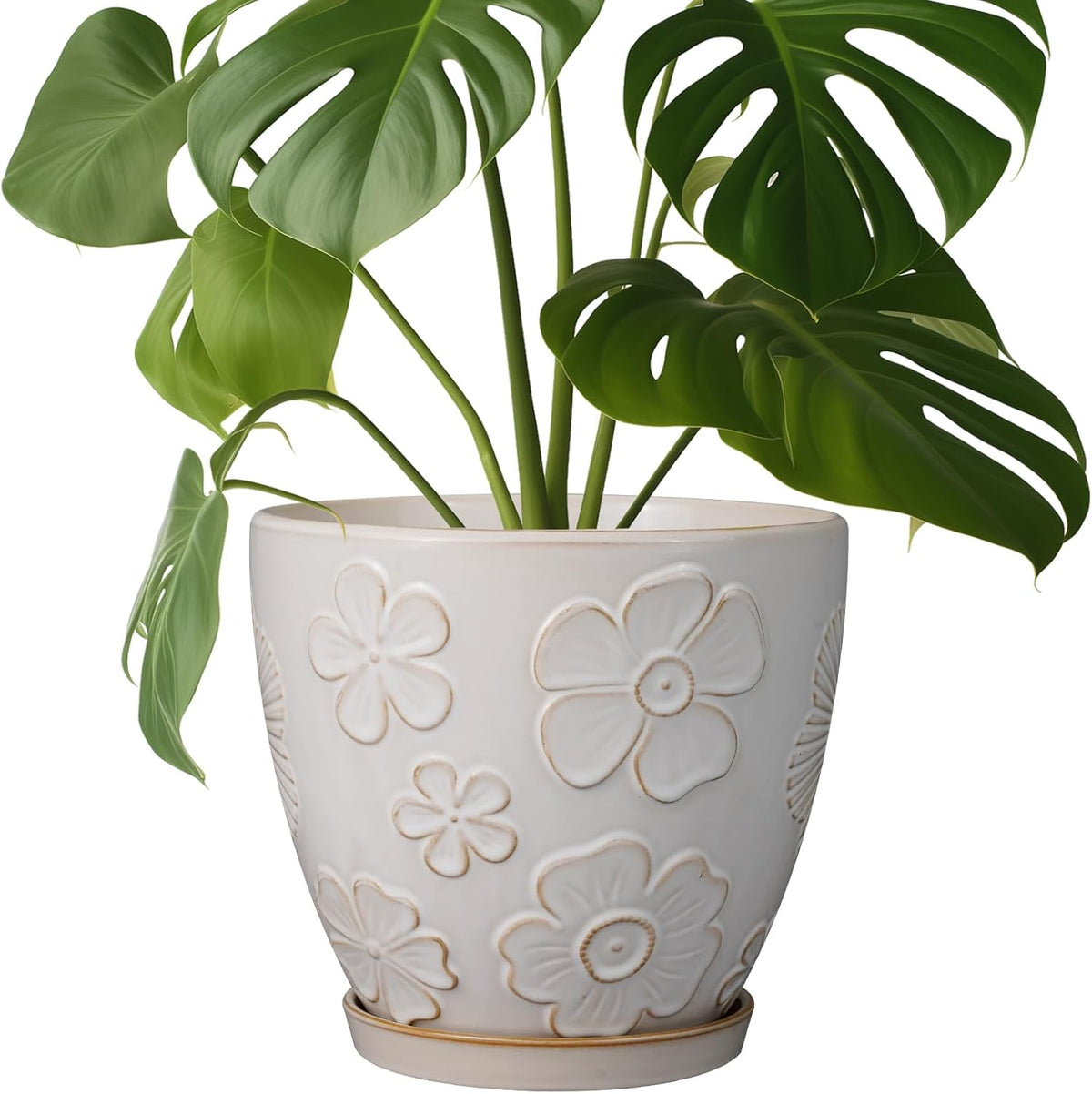 Ceramic Planter 8 Inch Plant Pot with Drainage Hole and Saucer Ceramic Pots for Indoor Plants Outdoor Large Flower Pot for Home Decor White - HavenBliss Decor