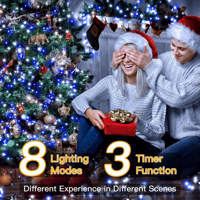Christmas Lights (164 Foot)