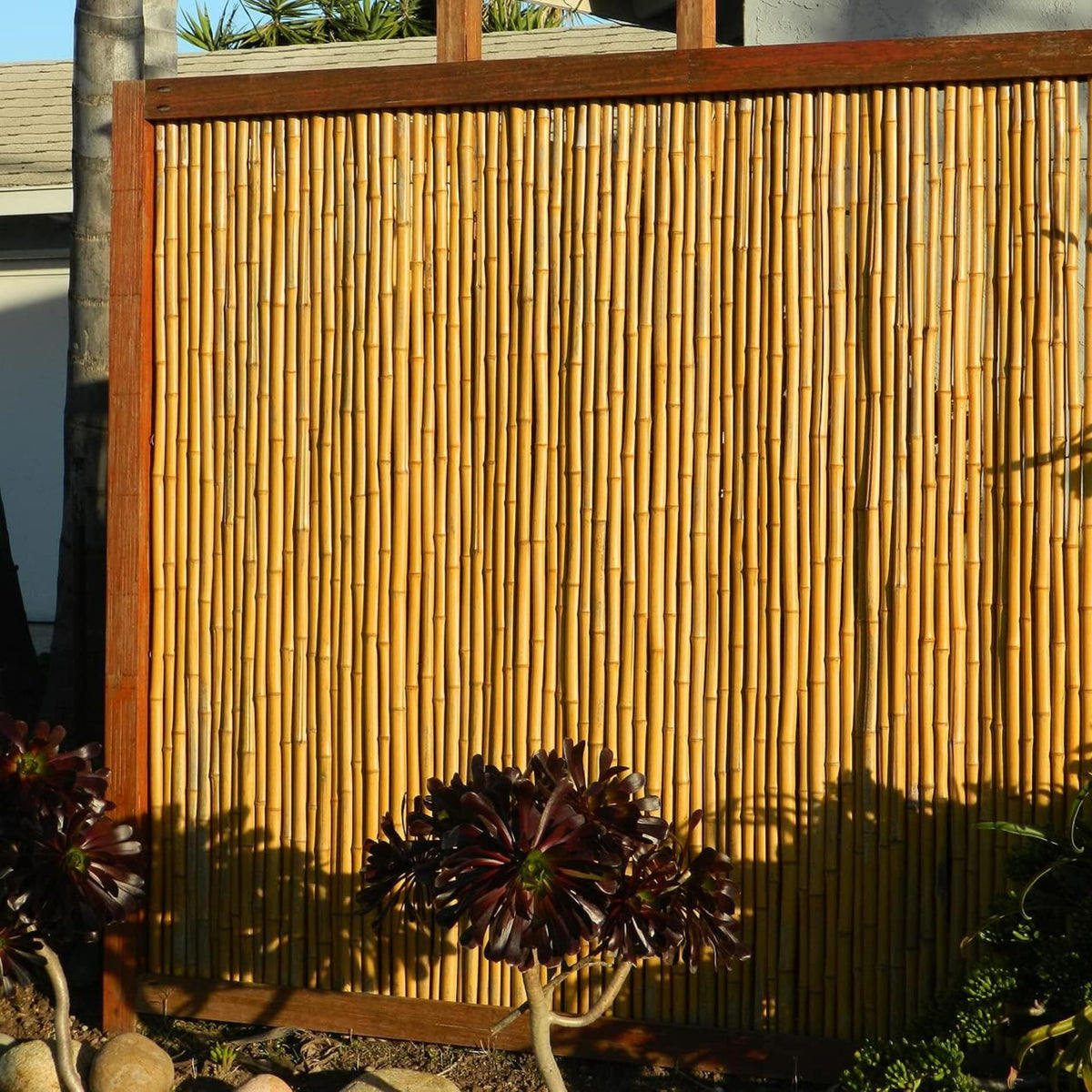 Natural Bamboo Fencing Decorative Rolled Fence Panel 1 in D x 6 ft H x 8 ft L
