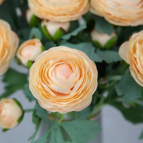 Artificial Ranunculus Flowers with Real Touch Stem (Champagne / 10)