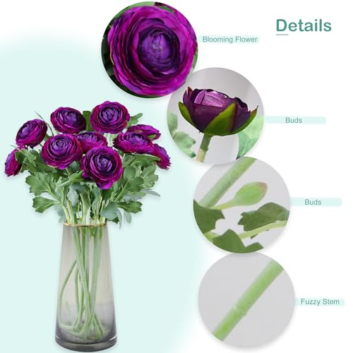 Artificial Ranunculus Flowers with Real Touch Stem (Purple / 6)