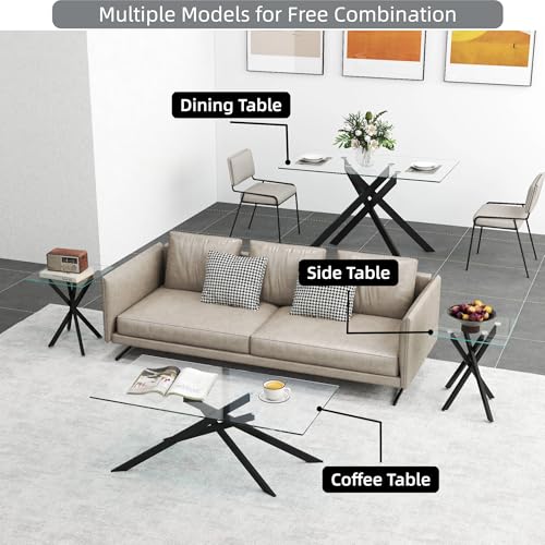 Glass Side Table Set of 2 (Black)