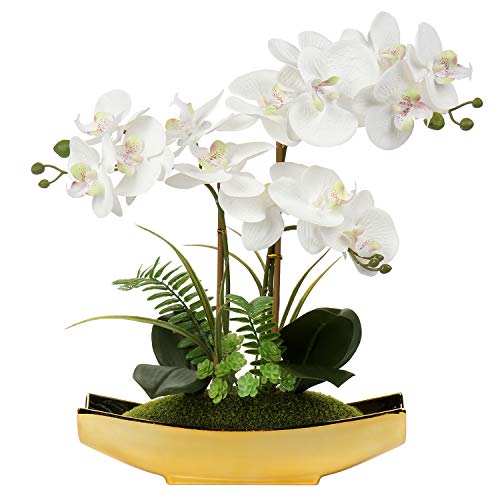 Orchids Artificial Flowers 15" White Phalaenopsis Orchid with Gold Pots Real Touch Faux Orchid Flower for Home Office Bedroom Table Centerpiece Desk Decor (White#1)