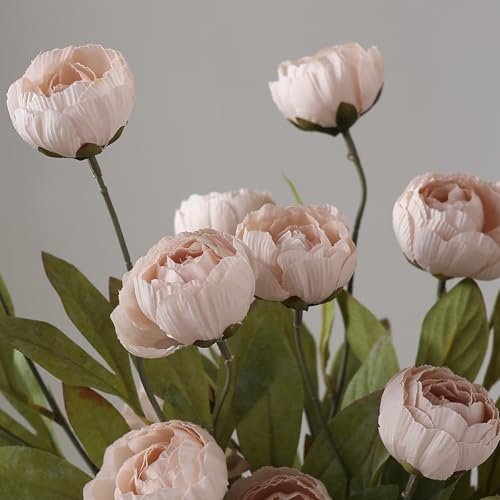 6 Pcs 27" Faux Silk Peony Artificial Flowers Stems for Vase (Beige)
