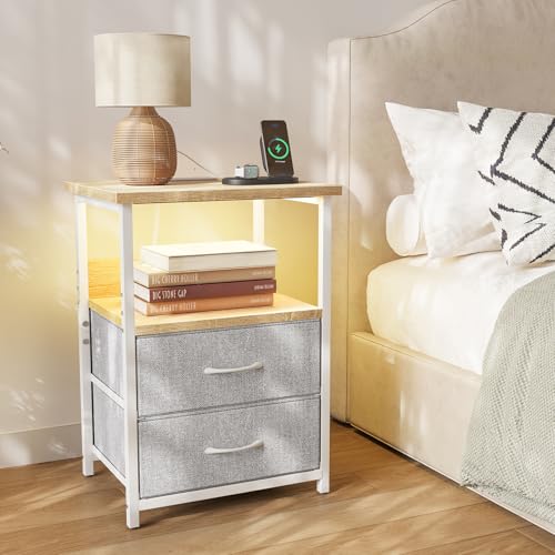 Night Stand with Charging Station (15.7"D x 11.8"W x 23.6"H (2 drawers) / Power+Light (1pc) / Natural Oak & Light Grey)