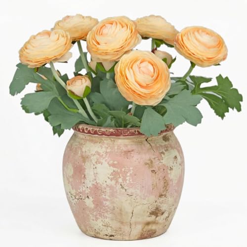 Artificial Ranunculus Flowers with Real Touch Stem (Champagne / 6)