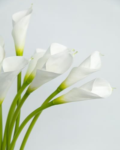 12pcs Large Calla Lily Artificial Flowers (White)