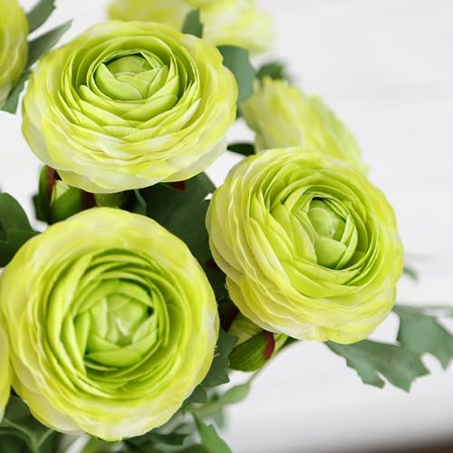 Green Artificial Ranunculus Flowers with Real Touch Stem (Green / 6)