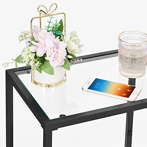 Side Tables Set of 2 with Tempered Glass (Black / 11.8"D x 15"W x 23.6"H)