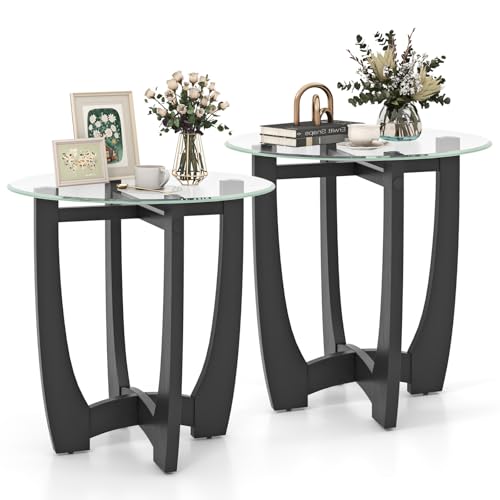 Glass End Table Set of 2 (Black)