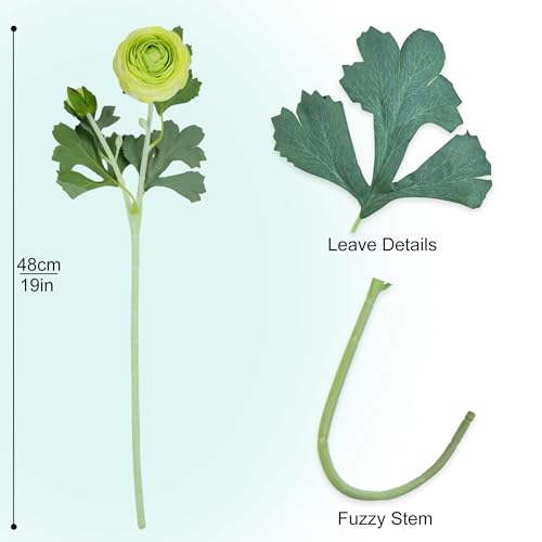 Green Artificial Ranunculus Flowers with Real Touch Stem (Green / 6)