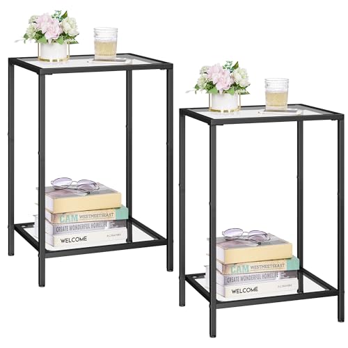 Side Tables Set of 2 with Tempered Glass (Black / 11.8"D x 15"W x 23.6"H)