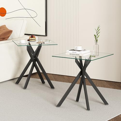 Glass Side Table Set of 2 (Black)