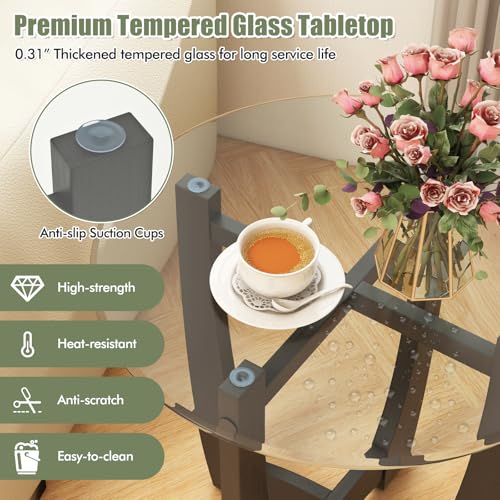 Glass End Table Set of 2 (Black)