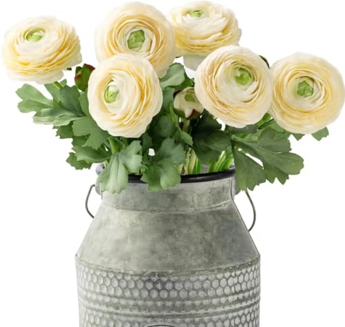 Artificial Ranunculus Flowers with Real Touch Stem (Cream White / 6)