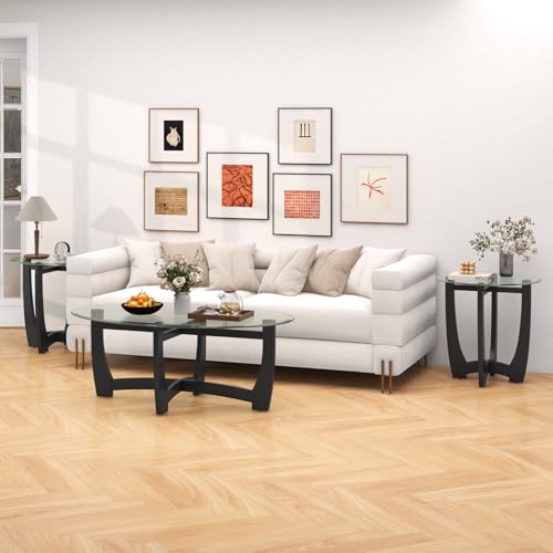 Glass End Table Set of 2 (Black)